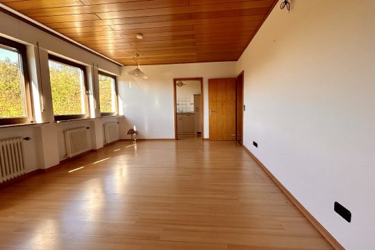 Wohnzimmer der Einliegerwohnung